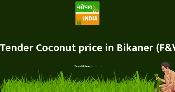 Tender Coconut price